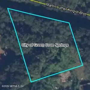 0 Martin Luther King Jr Boulevard, Green Cove Springs, FL 32043