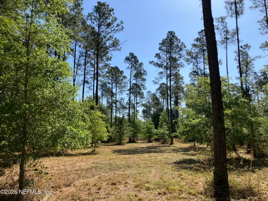 0 Prospect Landing Road, Hilliard, FL 32046 - #2