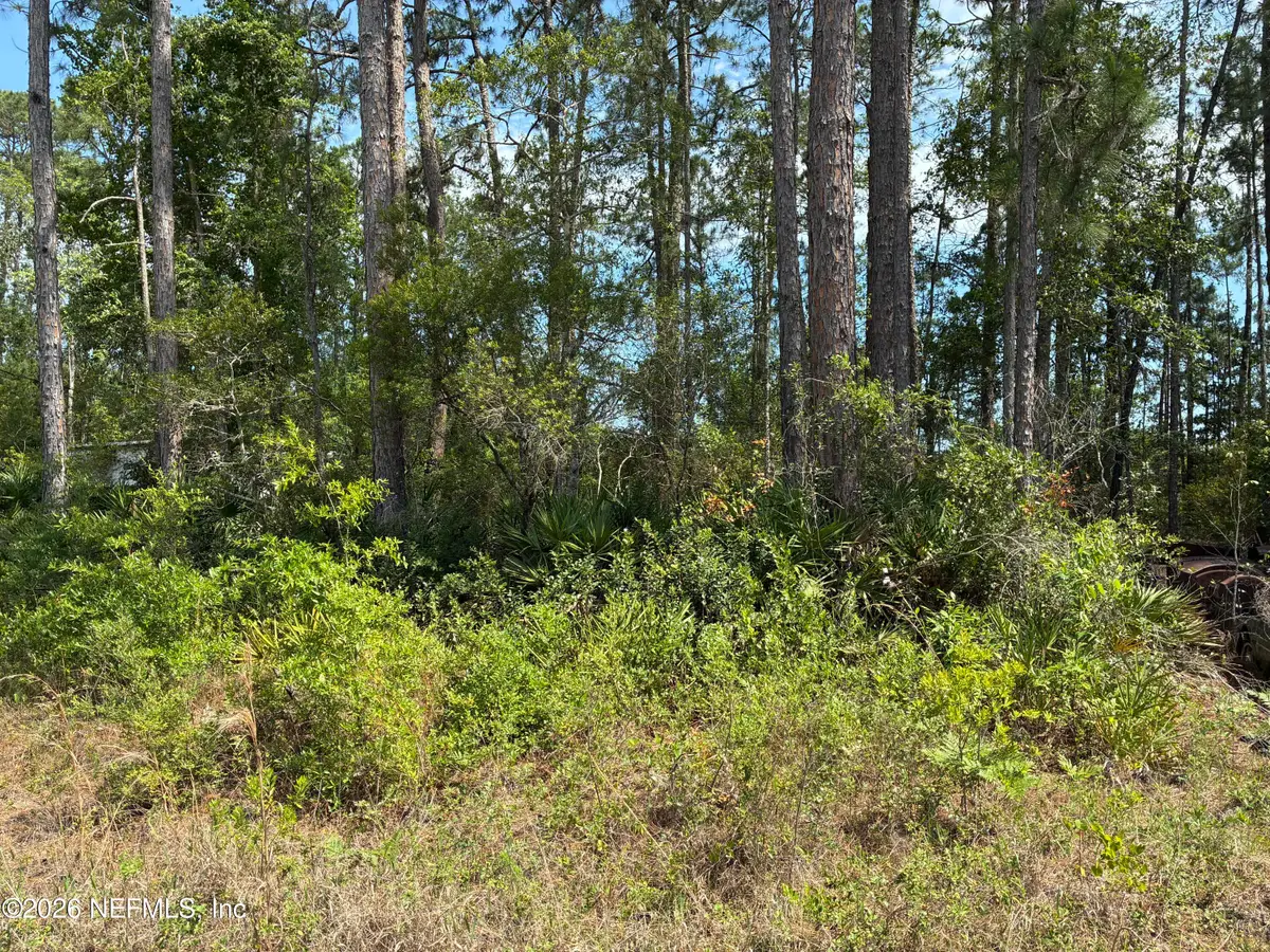 000 Susan Street, Interlachen, FL 32148 - #1