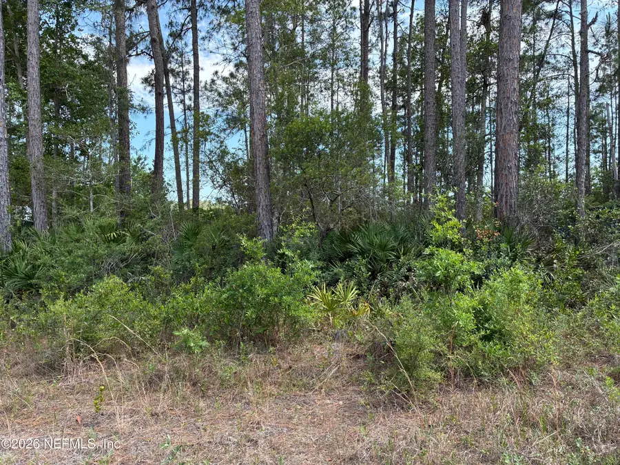 000 Susan Street, Interlachen, FL 32148 - #3