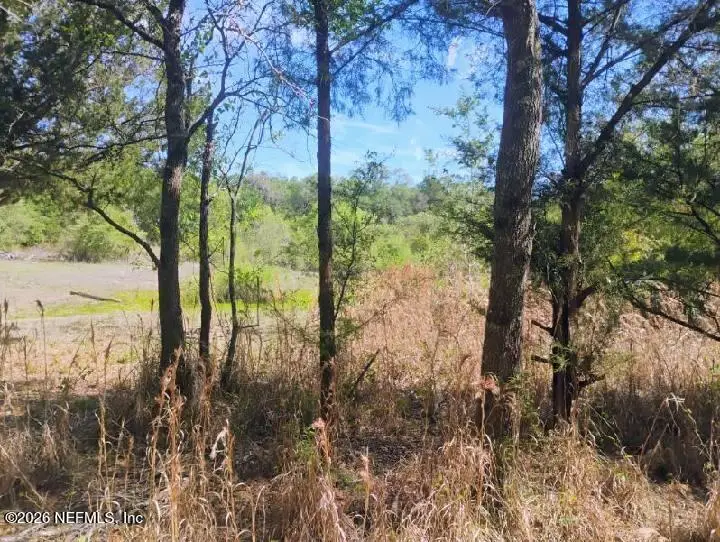 54 NE 841st, Old Town, FL 32680 - #2