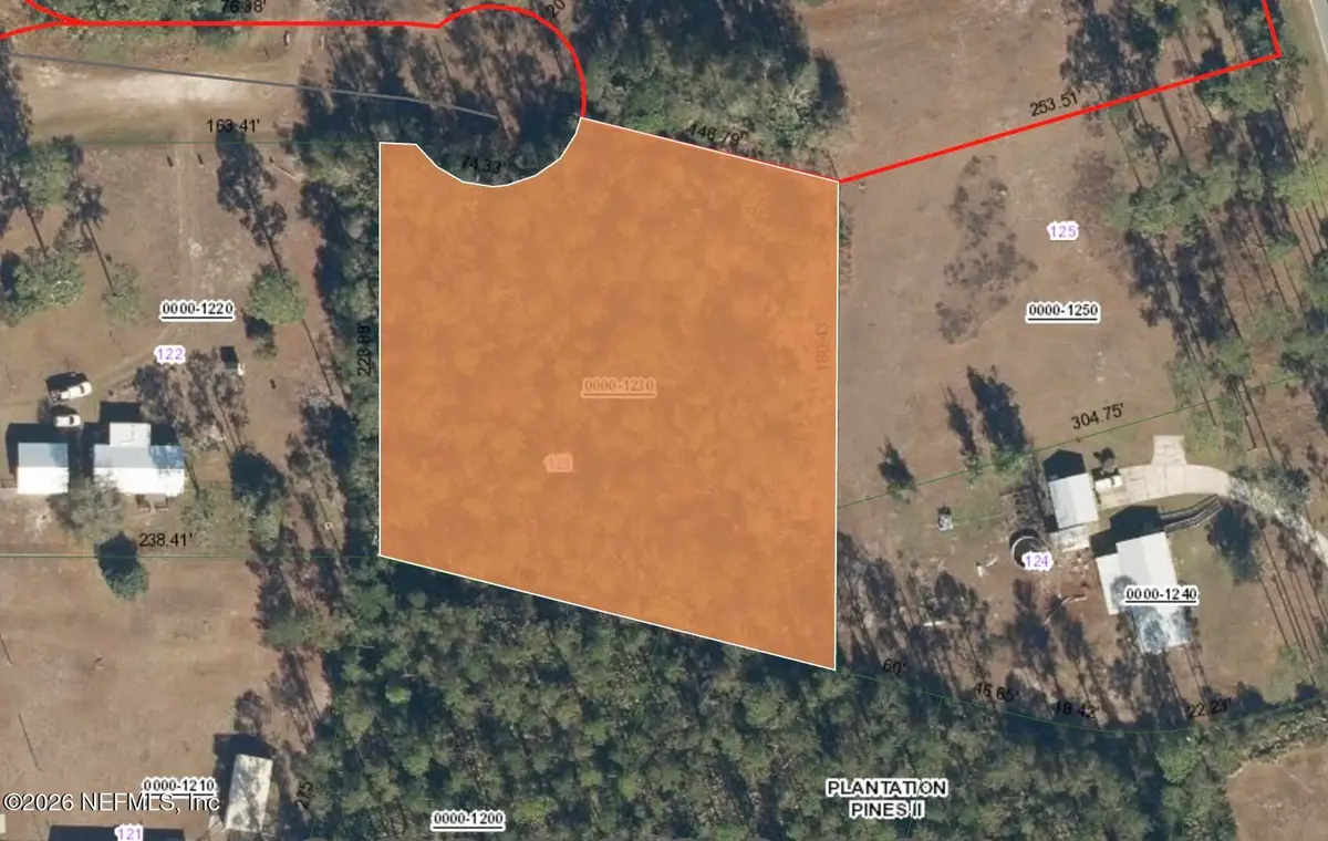 202 Tamarac Court, Georgetown, FL 32139 - #1