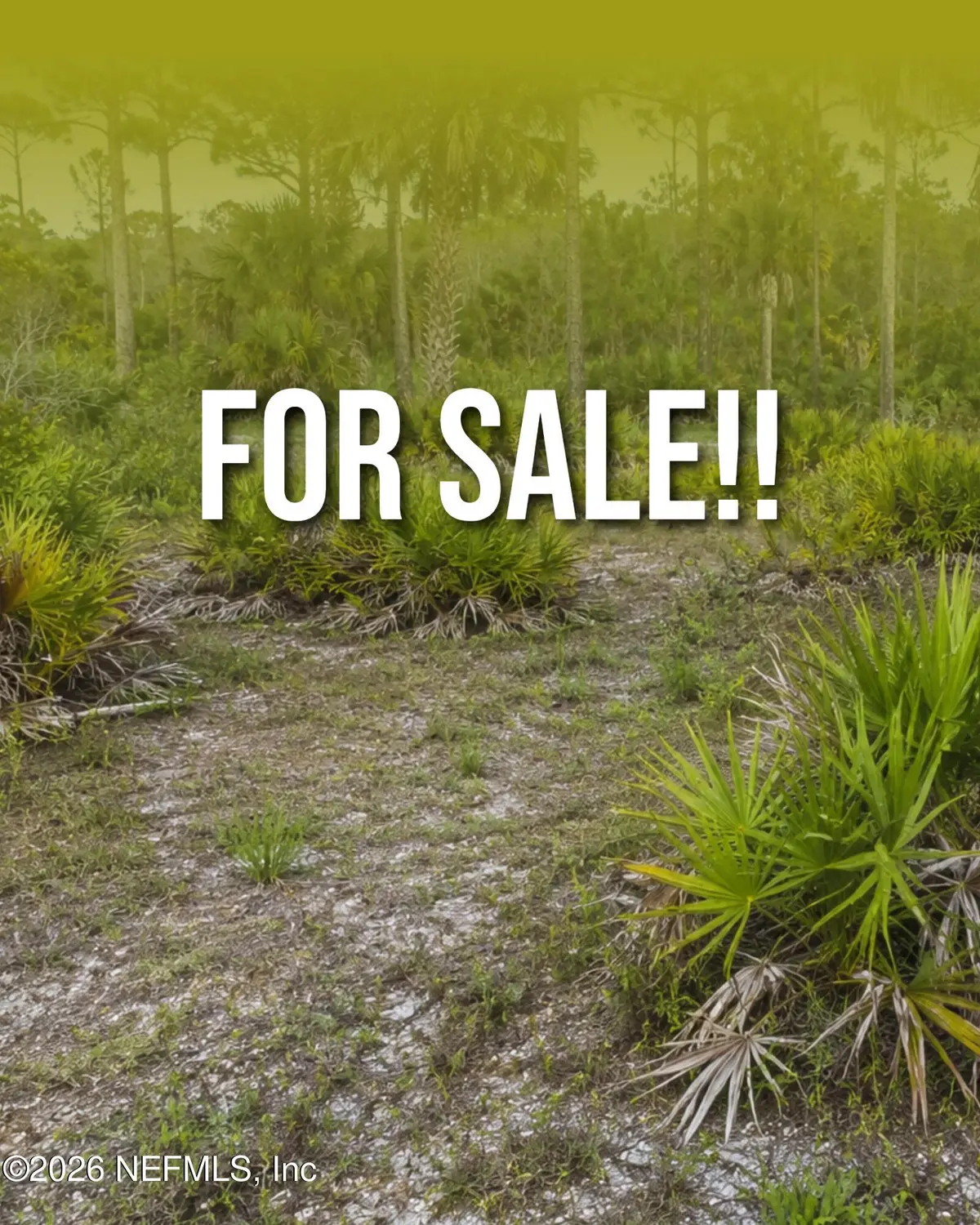 6362 Antioch Avenue, Keystone Heights, FL 32656 - #1