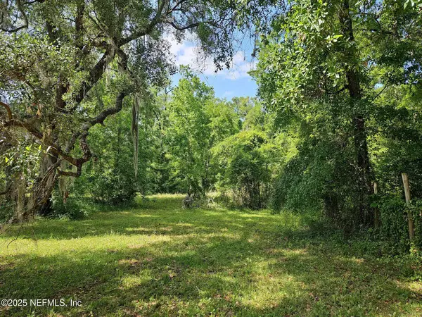 0000 Brickyard Road, Middleburg, FL 32068
