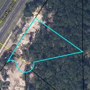 2621 Goat Road, Middleburg, FL 32068 - #1