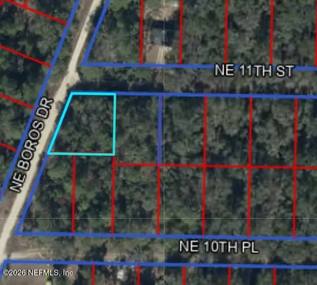 TBD NE 11th Street, Williston, FL 32696 - #1