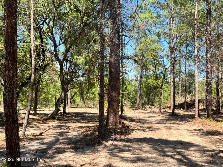 219 Magnolia Road, Hawthorne, FL 32640 - #3