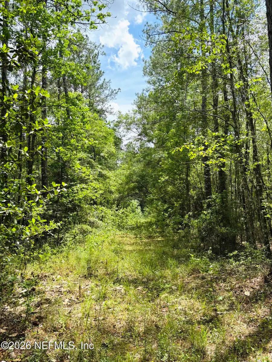 0 Lake Hampton, Hilliard, FL 32046 - #3