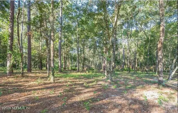 4843 Alligator Boulevard, Middleburg, FL 32068