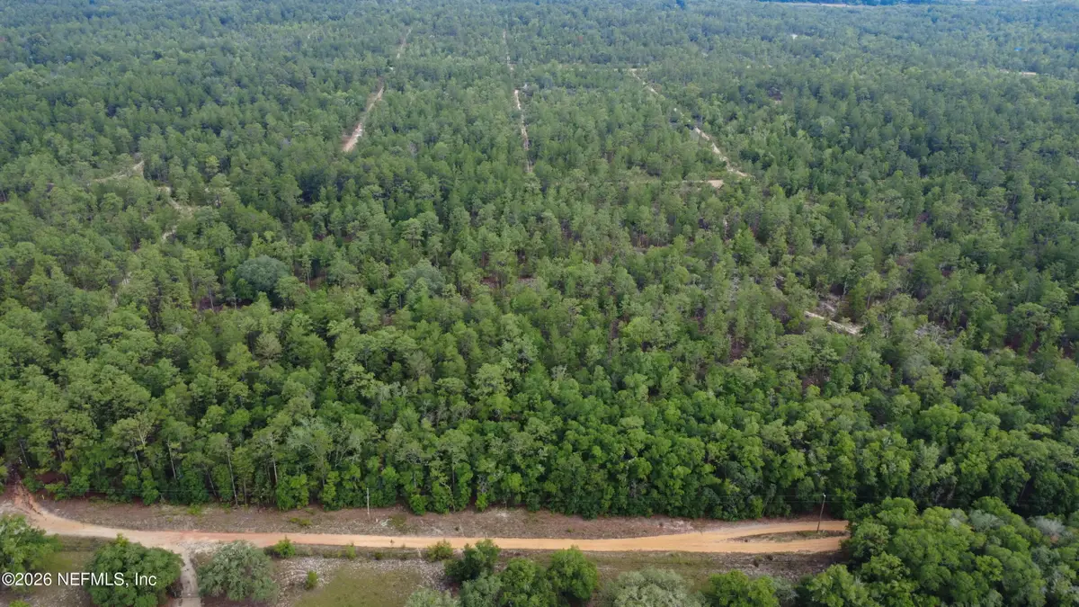 00 Windy Hills Lot 1 Road, Hawthorne, FL 32640 - #1