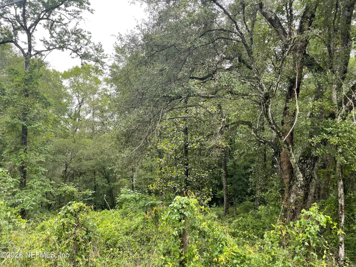 4825 Gopher Circle, Middleburg, FL 32068 - #1