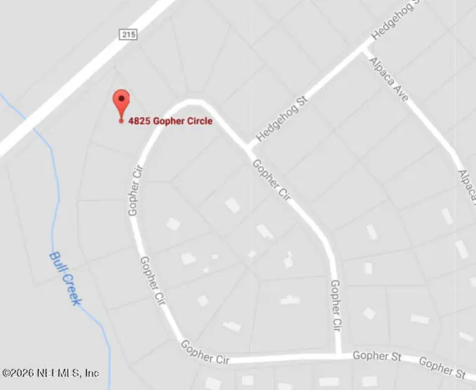 4825 Gopher Circle, Middleburg, FL 32068 - #3