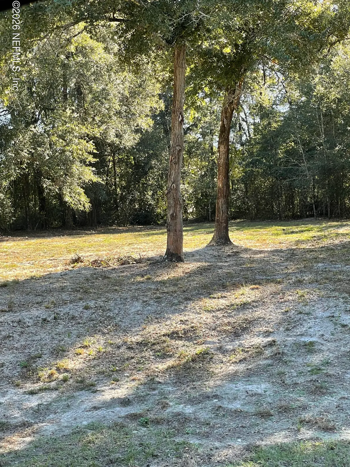 1721 Hagans Ridge Court, Green Cove Springs, FL 32043 - #1