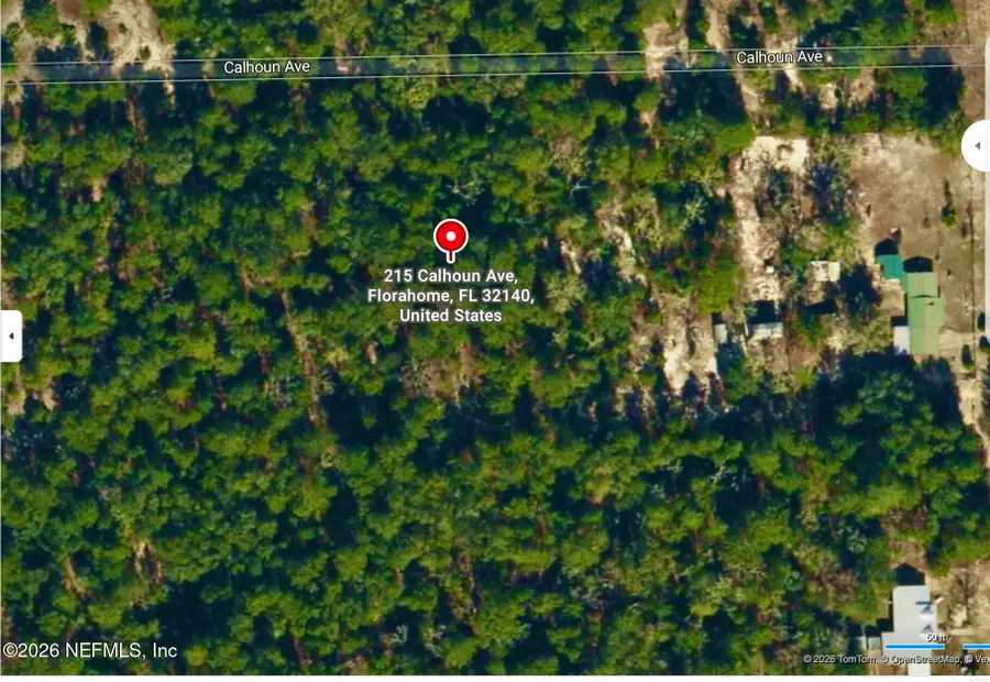215 Calhoun Avenue, Florahome, FL 32140 - #2