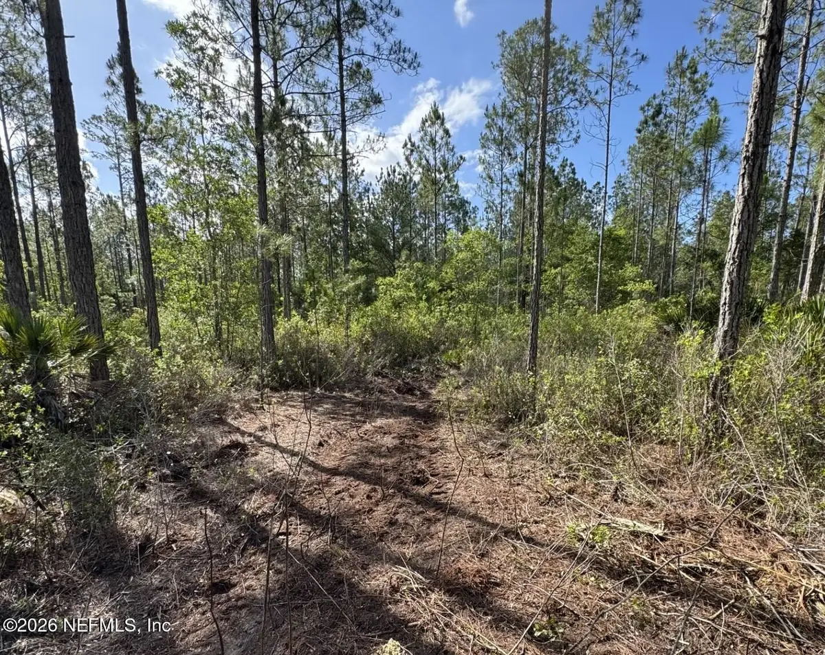 114 Womp Lane, Palatka, FL 32177 - #1