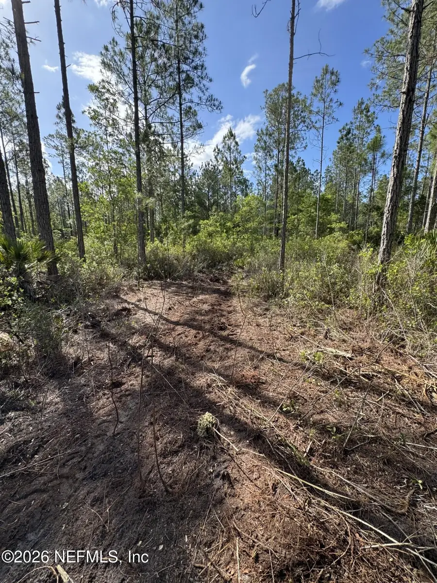 114 Womp Lane, Palatka, FL 32177 - #2