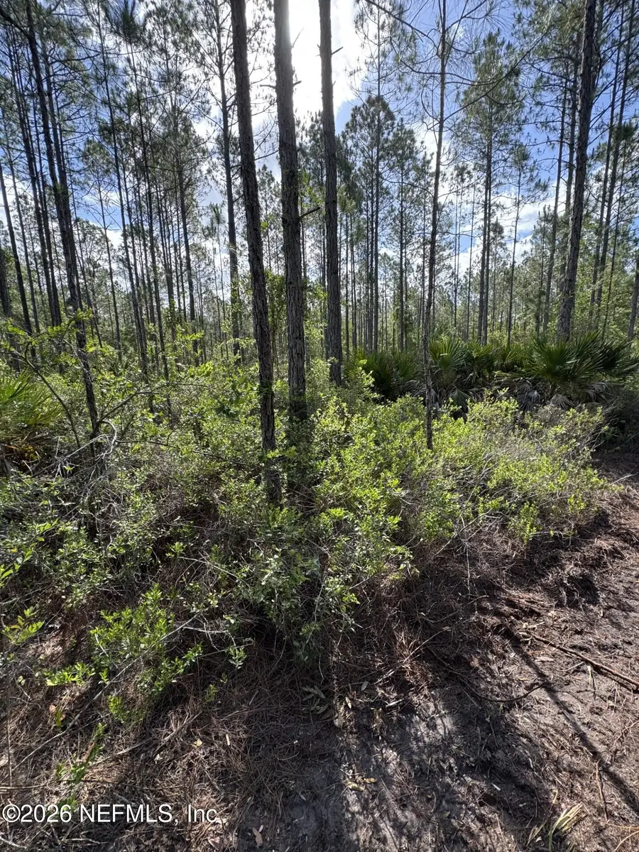 114 Womp Lane, Palatka, FL 32177 - #3