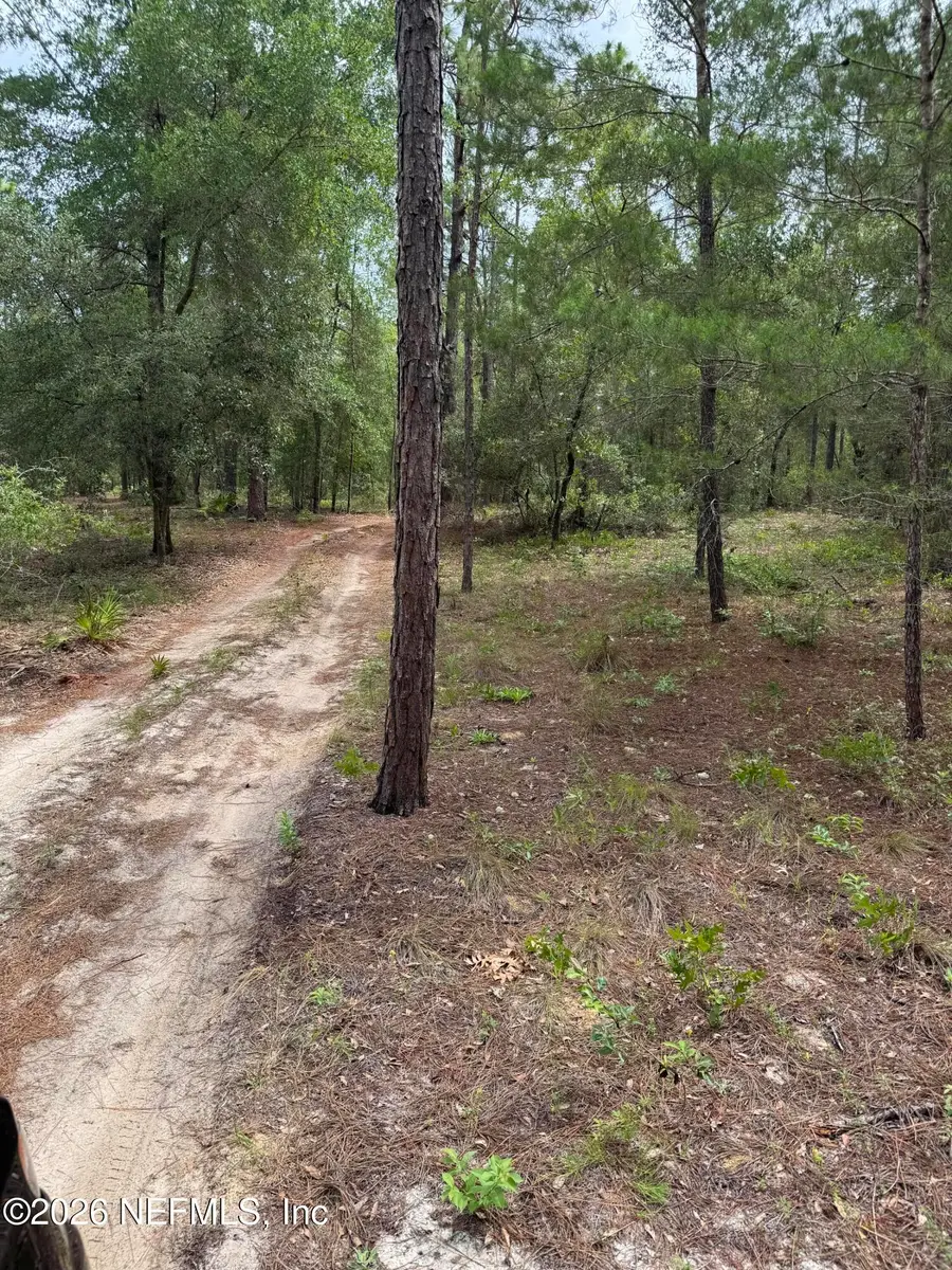 4477 M Lake Road, Keystone Heights, FL 32656 - #2