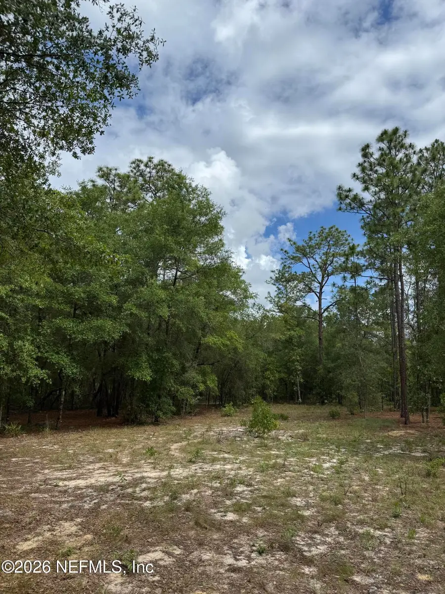 4477 M Lake Road, Keystone Heights, FL 32656 - #3