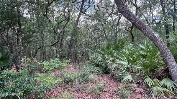 1107 Usina Avenue, Interlachen, FL 32148