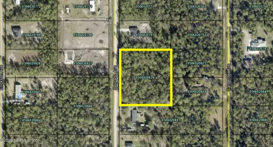 10270 Delgado Avenue, Hastings, FL 32145 - #2