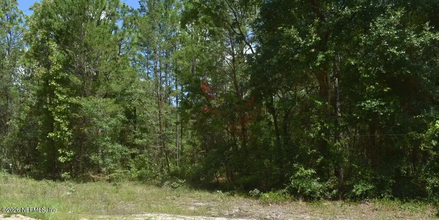7223 Duke Street, Keystone Heights, FL 32656 - #2