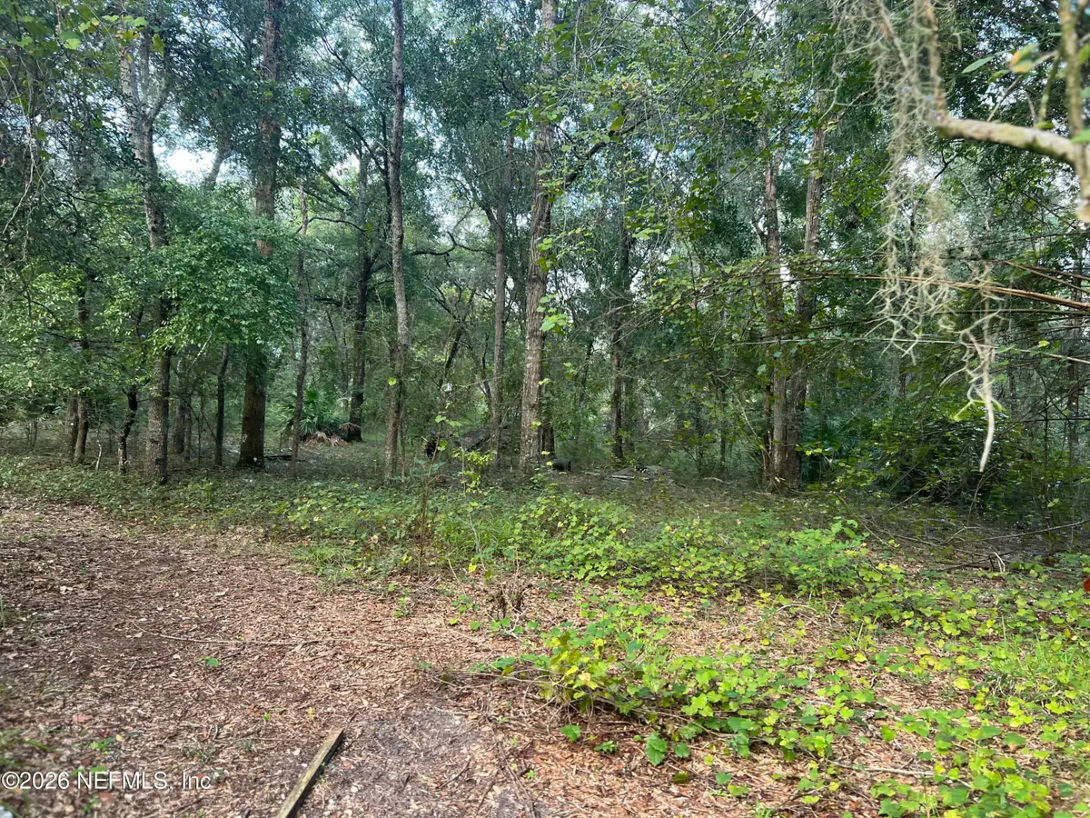 126 Willow Lane, Hawthorne, FL 32640 - #1