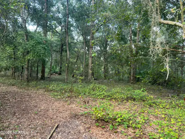126 Willow Lane, Hawthorne, FL 32640