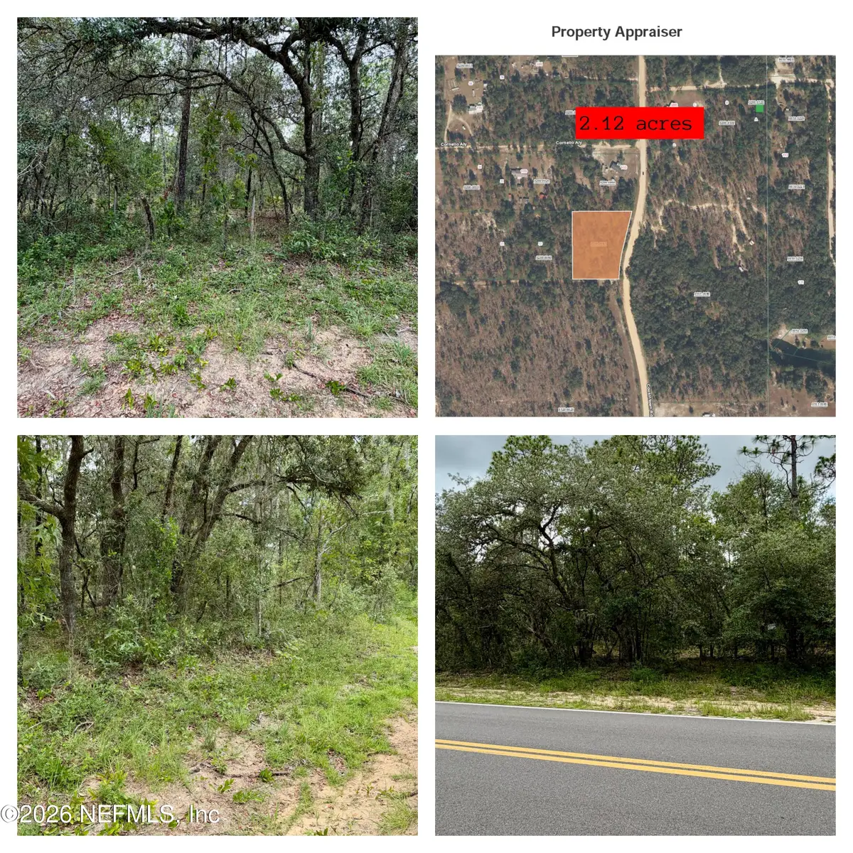 0041 Cousintown Road, Interlachen, FL 32148 - #1