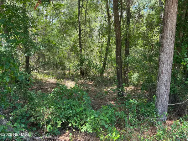 218 Beecher Springs Road, Pomona Park, FL 32181