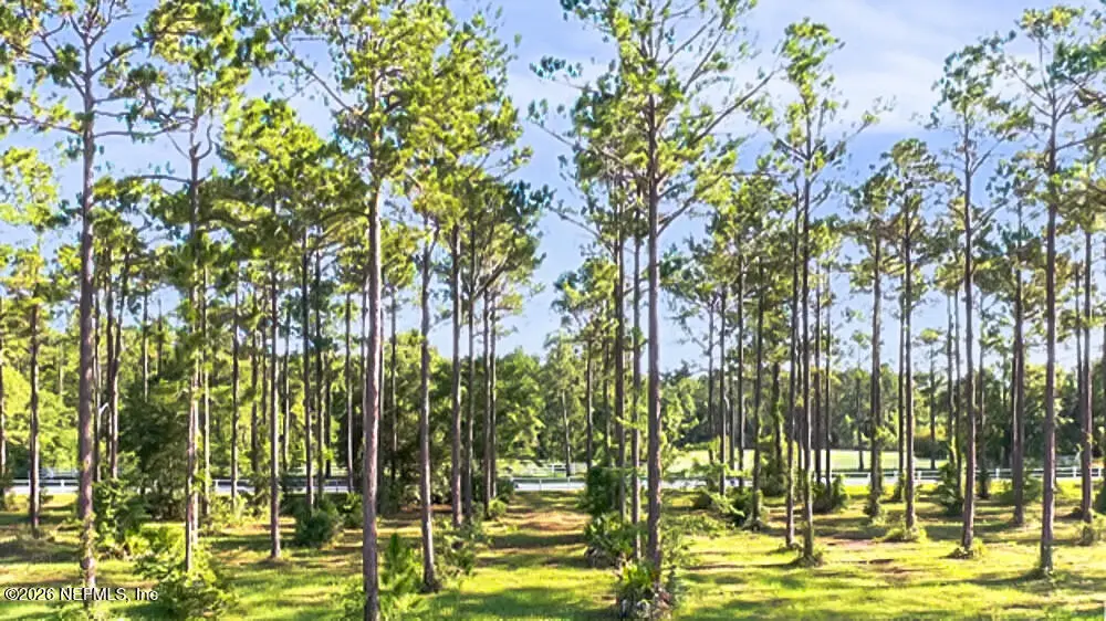 9925 Kings Crossing Drive, Jacksonville, FL 32219 - #1