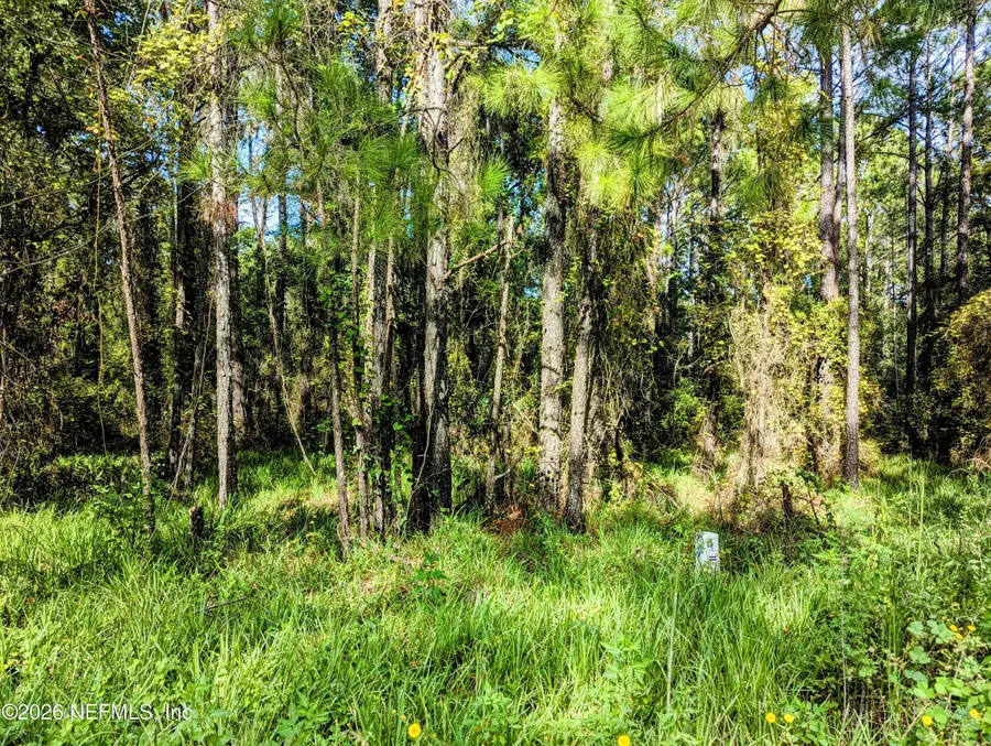 000 NE Us Hwy 301, Waldo, FL 32694 - #2