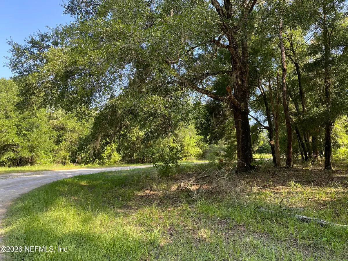 118 Strawberry Street, Pomona Park, FL 32181 - #1