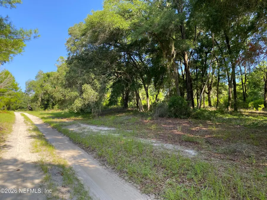 118 Strawberry Street, Pomona Park, FL 32181 - #3