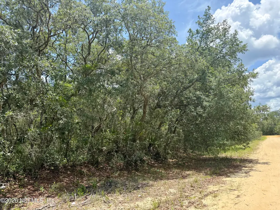 XXX Wallace Street, Interlachen, FL 32148 - #3
