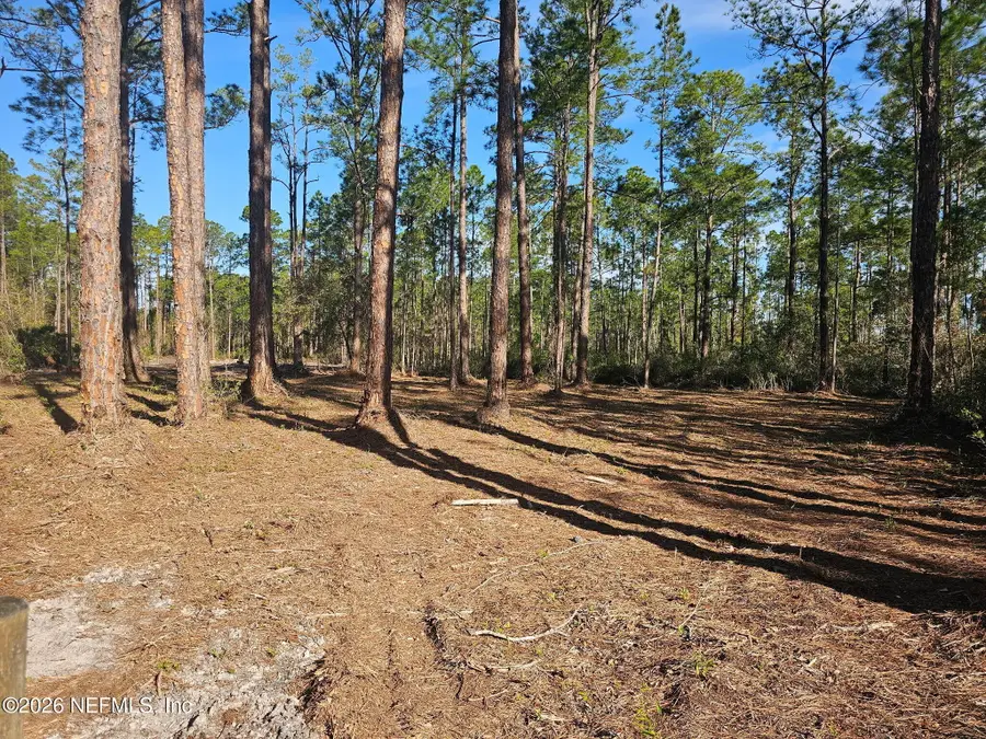 211 Georgetown Denver Road, Georgetown, FL 32139 - #2