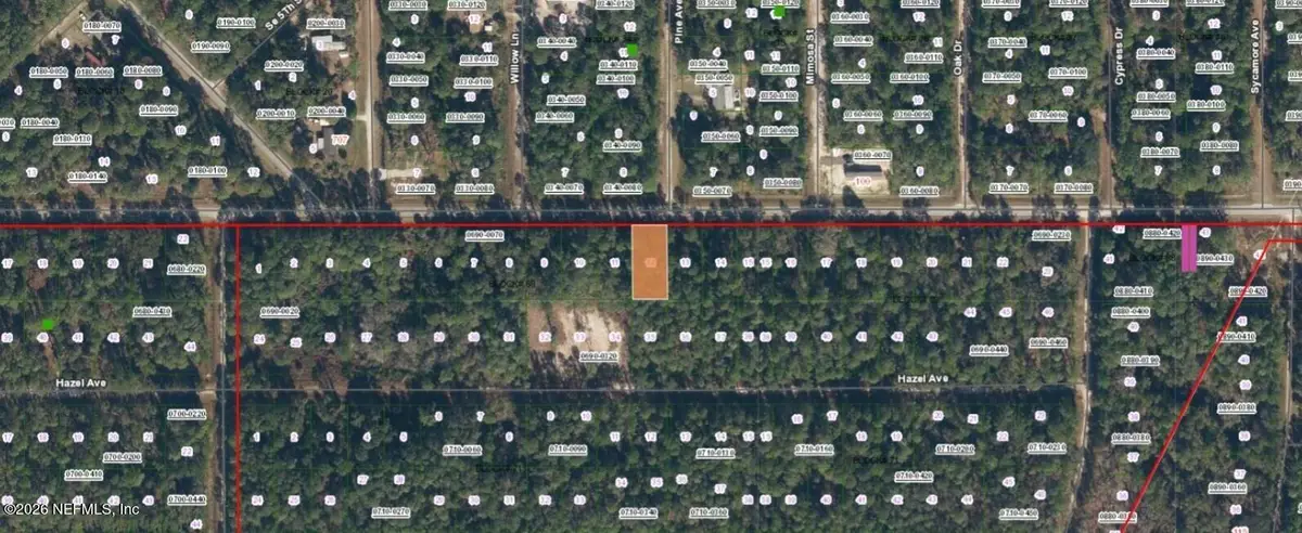 323 Paradise Boulevard, Georgetown, FL 32139 - #1
