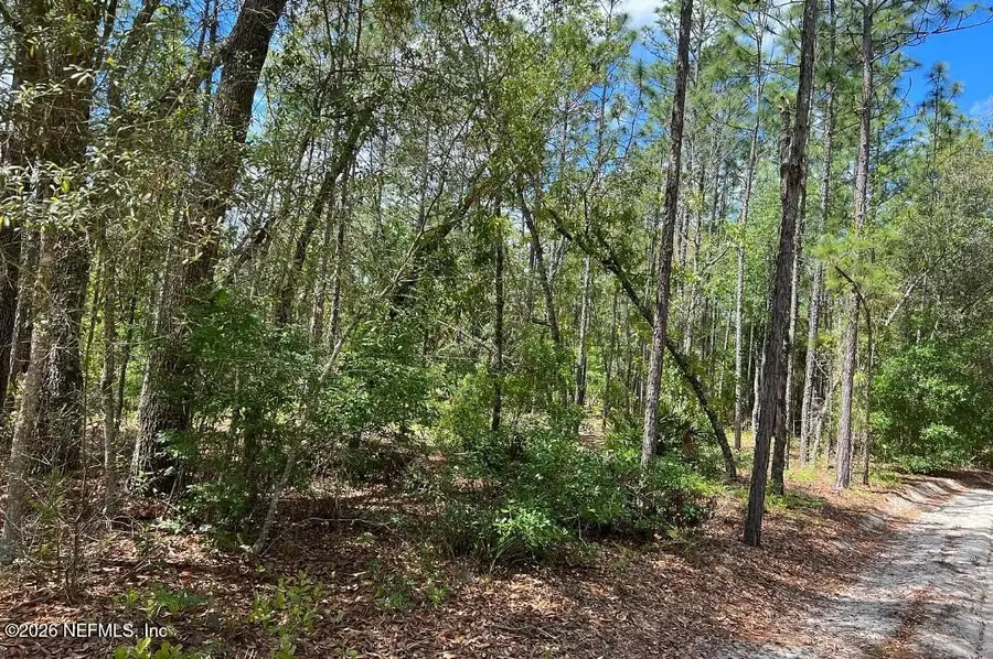0000 Lady Bug Lane, Melrose, FL 32666 - #2