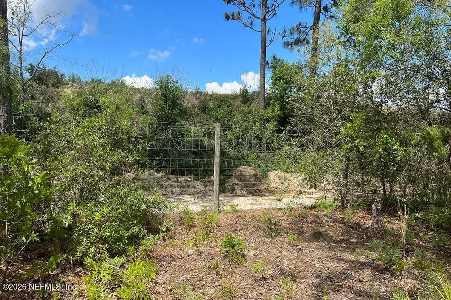 0000 Lady Bug Lane, Melrose, FL 32666 - #3