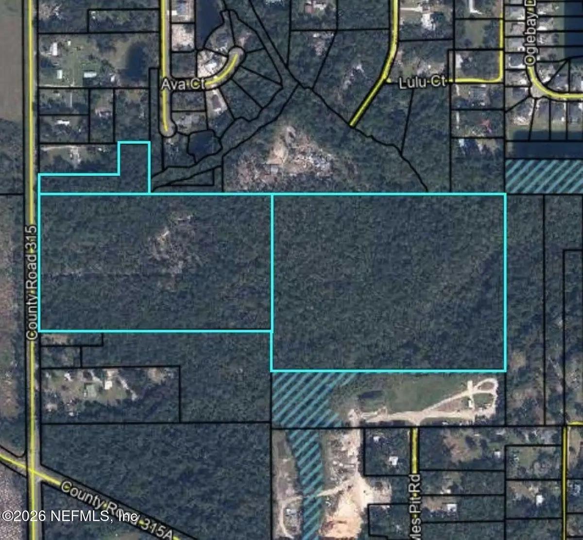 3771 County Road 315, Green Cove Springs, FL 32043 - #1