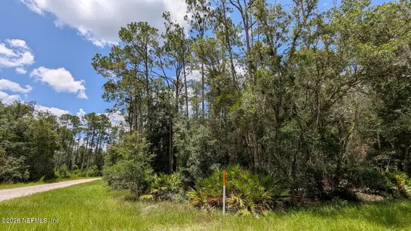 301 Whispering Pines Road, Georgetown, FL 32139