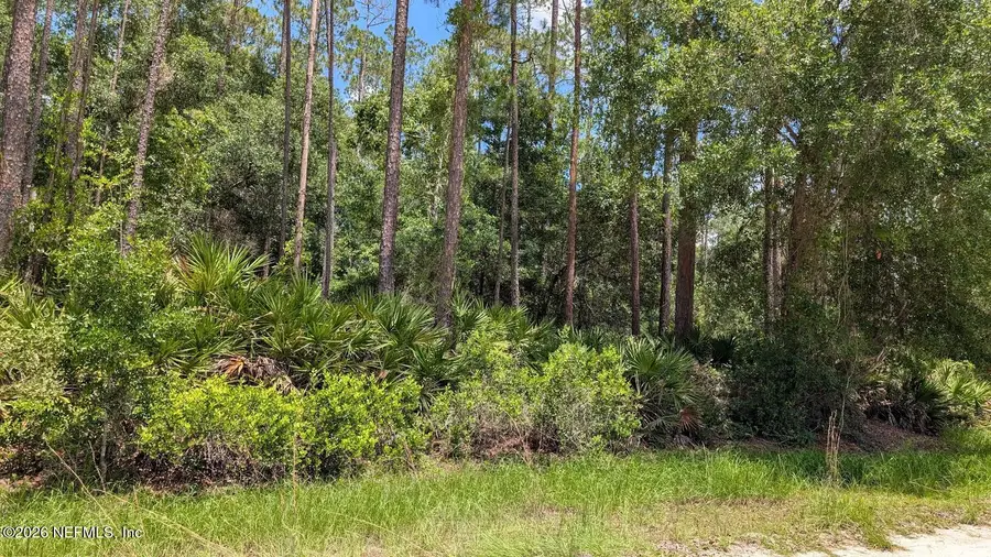 301 Whispering Pines Road, Georgetown, FL 32139 - #2