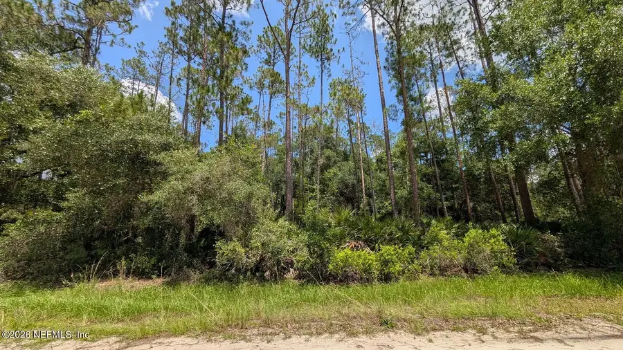 301 Whispering Pines Road, Georgetown, FL 32139 - #3