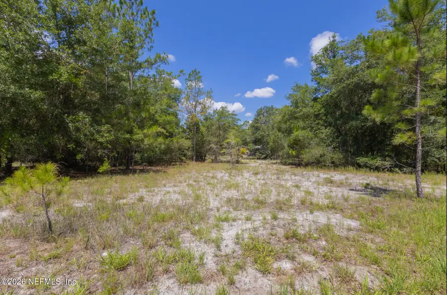 133 Landvale Street, Georgetown, FL 32139 - #2