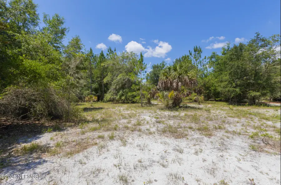 133 Landvale Street, Georgetown, FL 32139 - #3