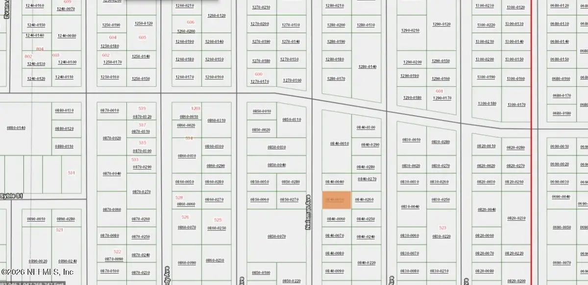 XXX Neisman Avenue, Interlachen, FL 32148 - #1