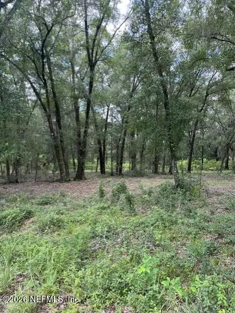 607 Cousintown Rd Road, Interlachen, FL 32148 - #3