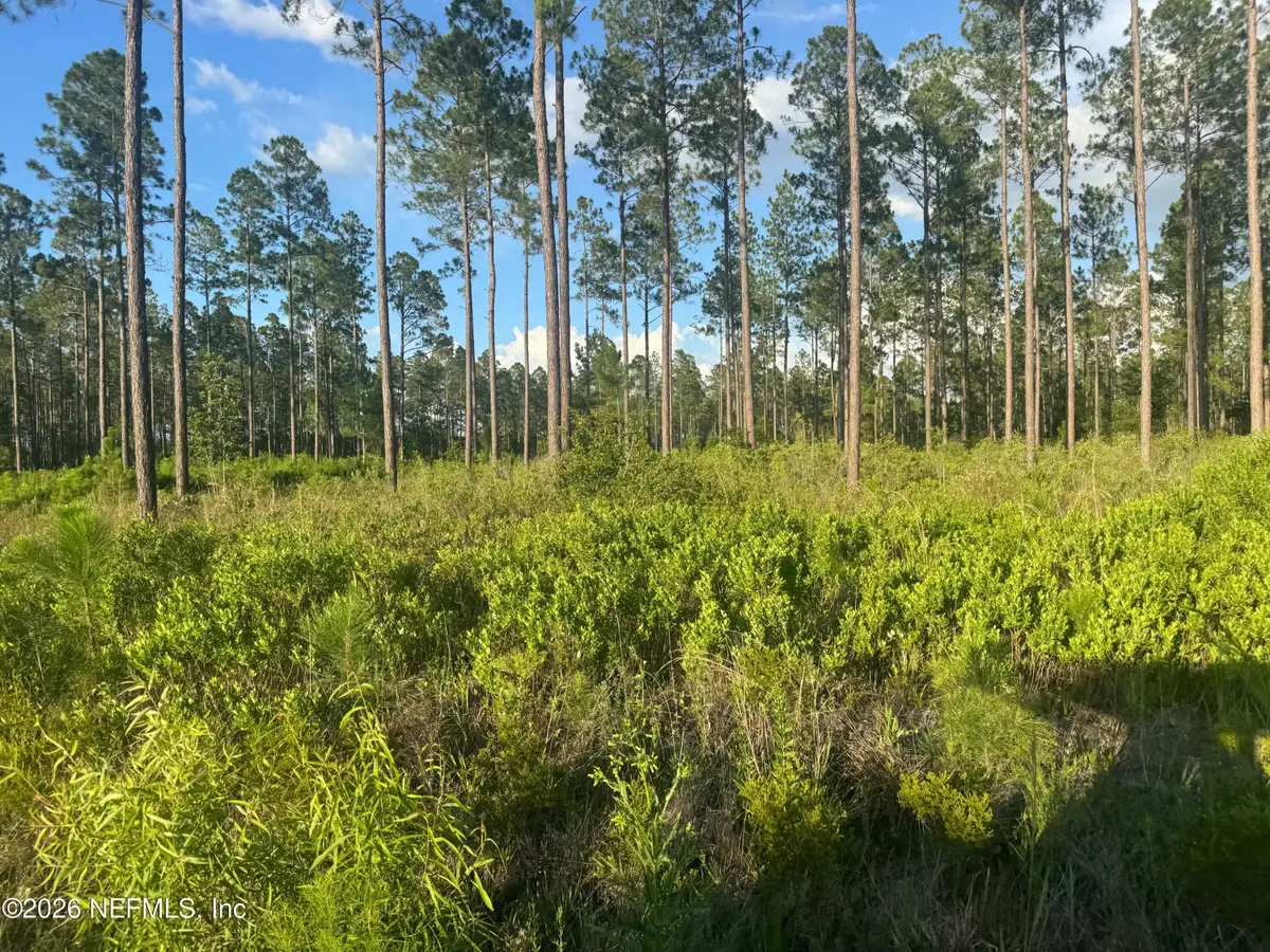 TBD NW Co Rd 235, Lake Butler, FL 32054 - #1