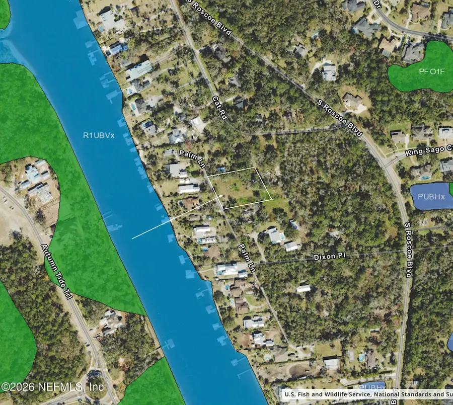 16 Palm Lane, Ponte Vedra, FL 32082 - #3