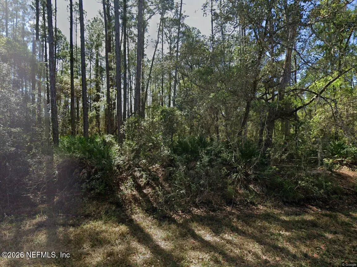 213 Terri Ave Avenue, Georgetown, FL 32139 - #1